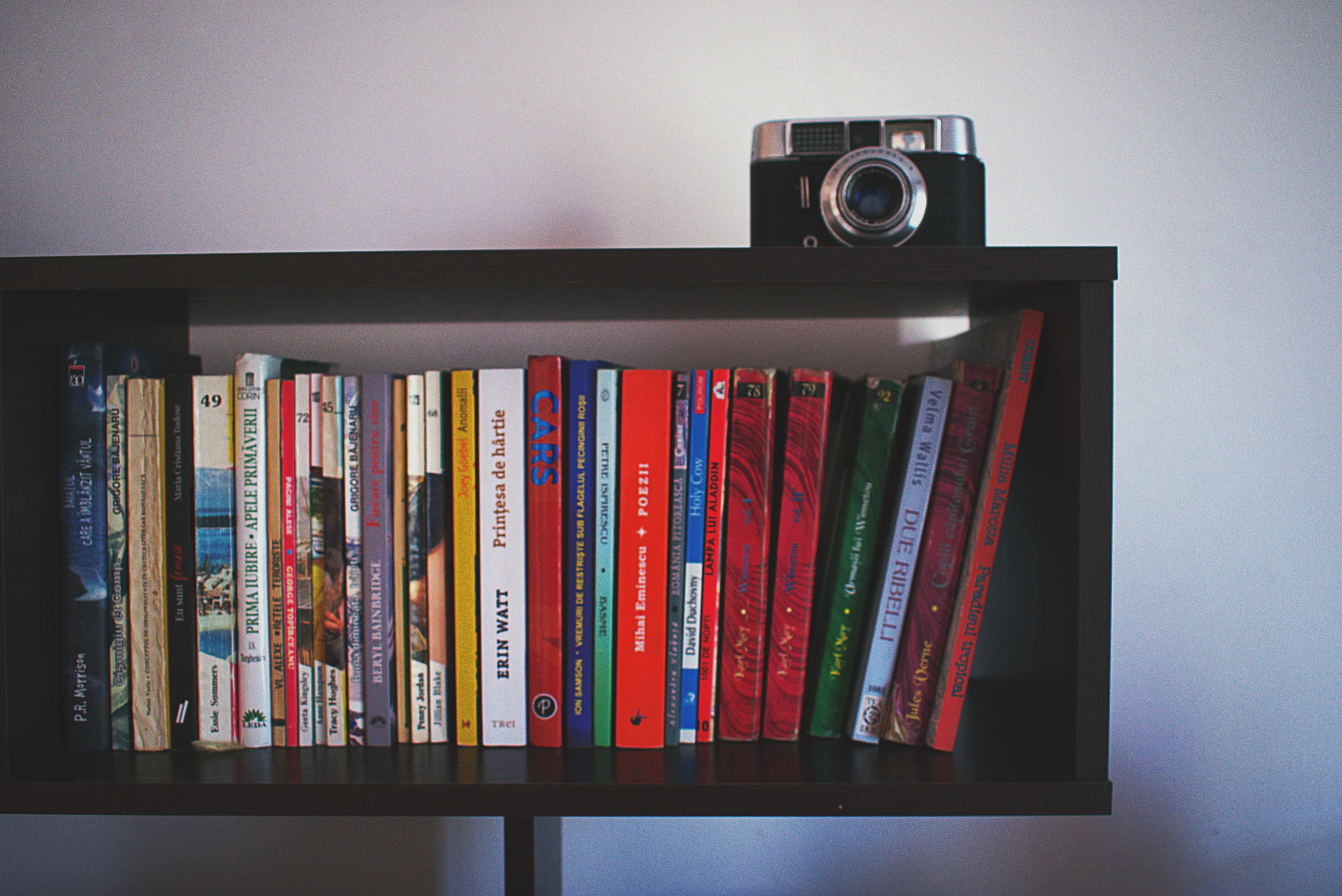 Styled shelves with curated decor pieces