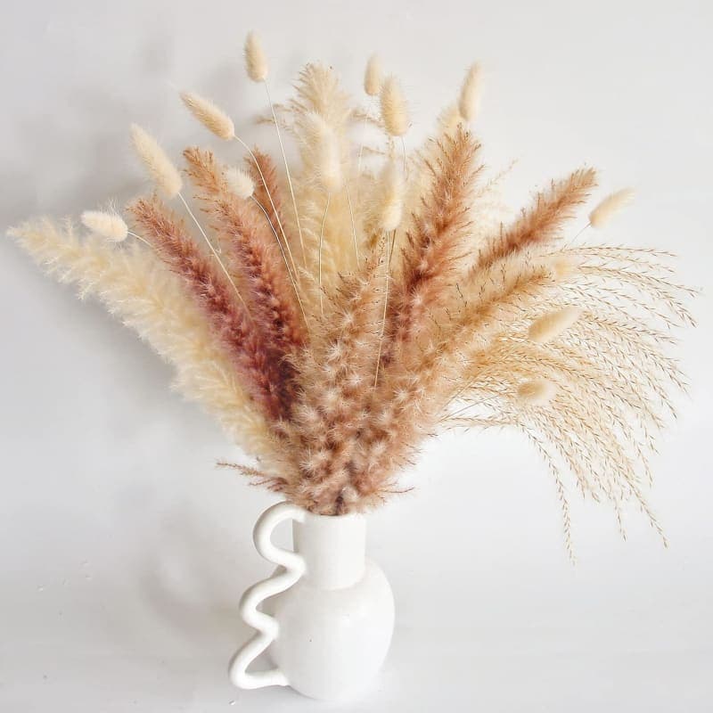 Natural dried pampas grass and bunny tails in neutral tones for boho vase and home decor gallery view 2