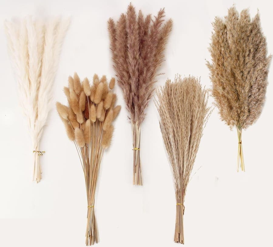 Natural dried pampas grass and bunny tails in neutral tones for boho vase and home decor
